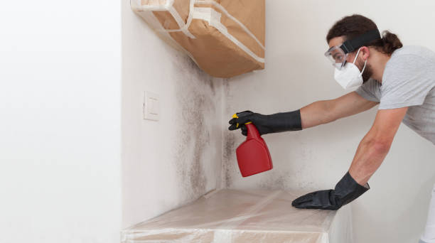 Professional Commercial Mold Remediation technician working in Tewksbury, MA