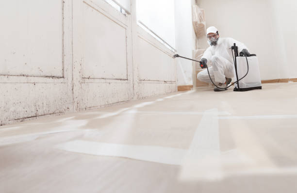 24/7 Emergency Commercial Mold Remediation experts in Tewksbury, MA