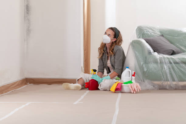 Reliable Commercial Mold Remediation contractor in Tewksbury, MA by WQB Mold Removal